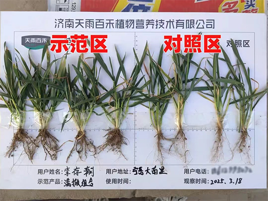娴庡崡澶╅洦鐧剧妞嶇墿钀ュ吇鎶鏈湁闄愬叕鍙?.jpg 娴庡崡澶╅洦鐧剧妞嶇墿钀ュ吇鎶鏈湁闄愬叕鍙?.jpg