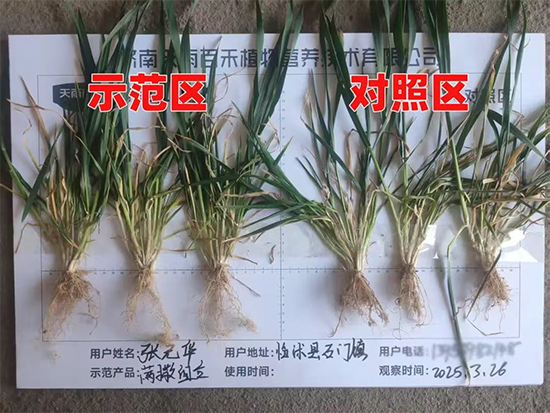 娴庡崡澶╅洦鐧剧妞嶇墿钀ュ吇鎶鏈湁闄愬叕鍙?.jpg 娴庡崡澶╅洦鐧剧妞嶇墿钀ュ吇鎶鏈湁闄愬叕鍙?.jpg